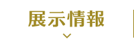 전시 정보