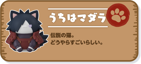 【うちはマダラ】伝説の猫。どうやらすごいらしい。