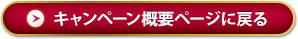 キャンペーン개요 페이지로 돌아가기