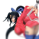 선데이 히로인 셀렉션 Ⅰ 사상 최강의 제자 켄이치 카사카 시구레