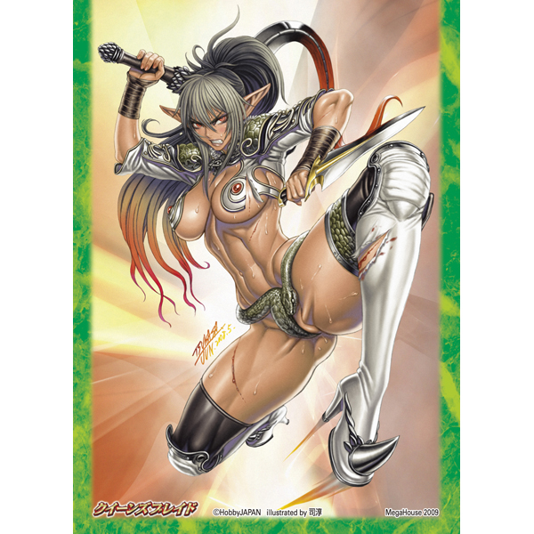 공식 캐릭터 슬리브 Vol.3 역전 용병 ECHIDNA