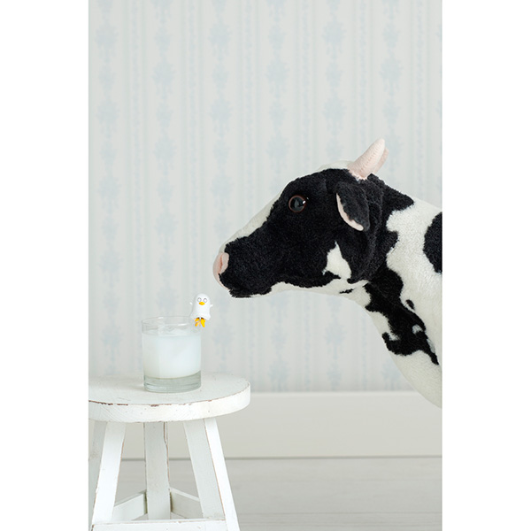 サムネイル画像13