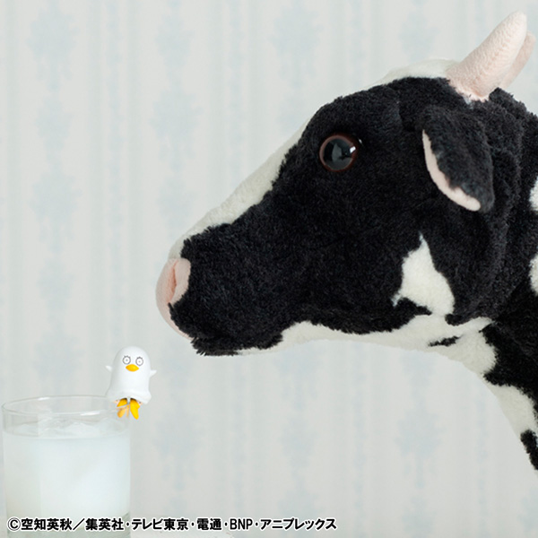 サムネイル画像14