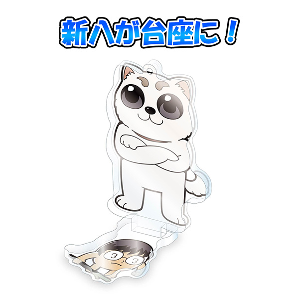 サムネイル画像11