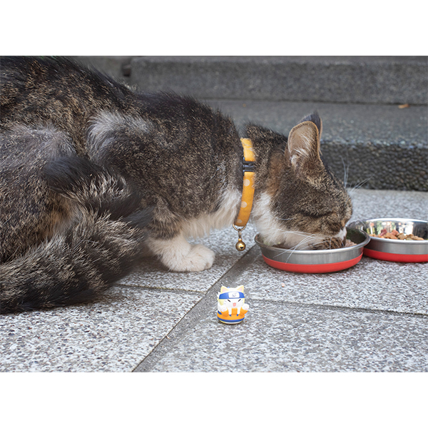 サムネイル画像11