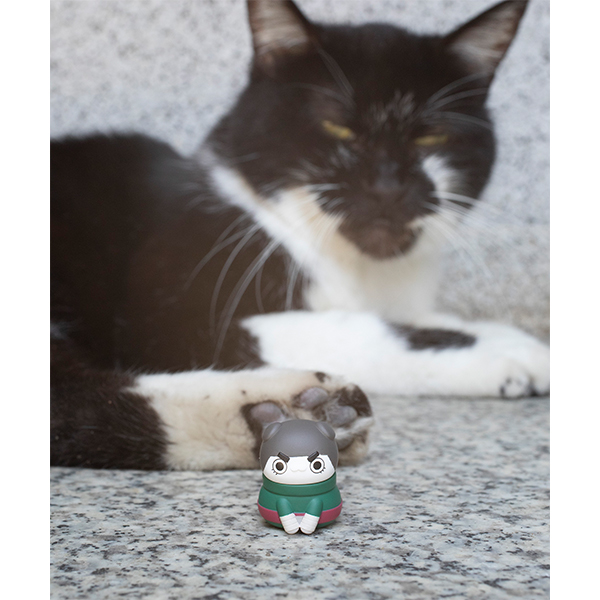 サムネイル画像12