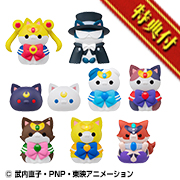 Pretty Guardian Sailor Moon 문 세이냐 문 달을 대신하여 오시오키 냐! 【특전:카와이이 통조림 포함】