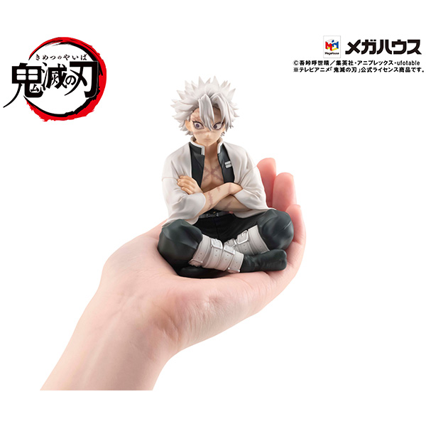 Demon Slayer：Kimetsu no Yaiba Palm size Shinazugawa-san