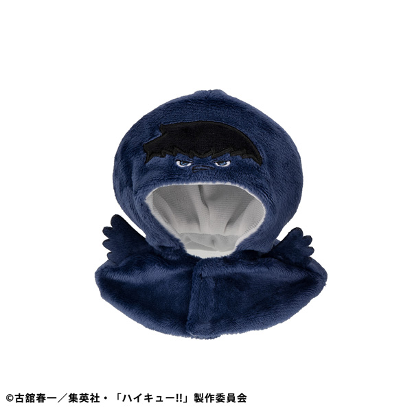 판초 하이큐!!!!! 카게글라스