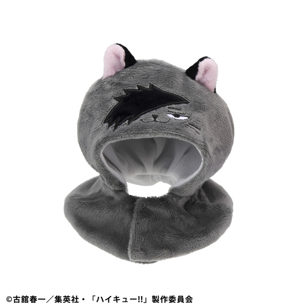 판초 하이큐!!!! 크로오 고양이