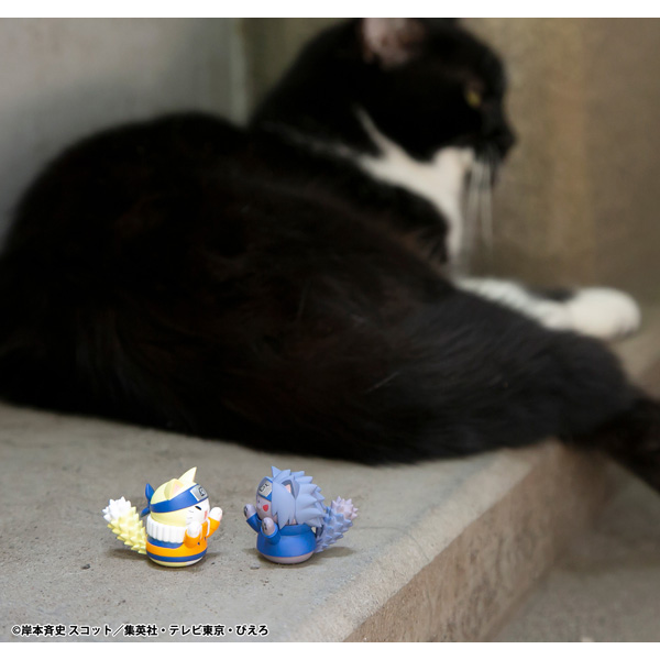 サムネイル画像12