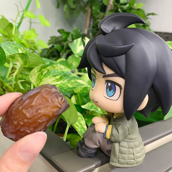 サムネイル画像12