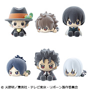 박제 가정 교사 히트맨 REBORN!