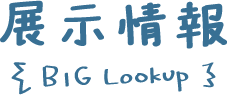 전시 정보